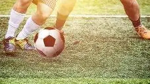 PA真人 产品 040524 zoi