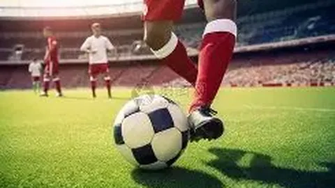 PA真人 产品 040546 oql