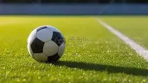 PA真人 产品 112835 2nh