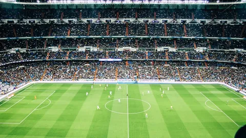 世界冠军助力国家公园活动，展现中华体育风采，共筑生态和谐3-25 17：03